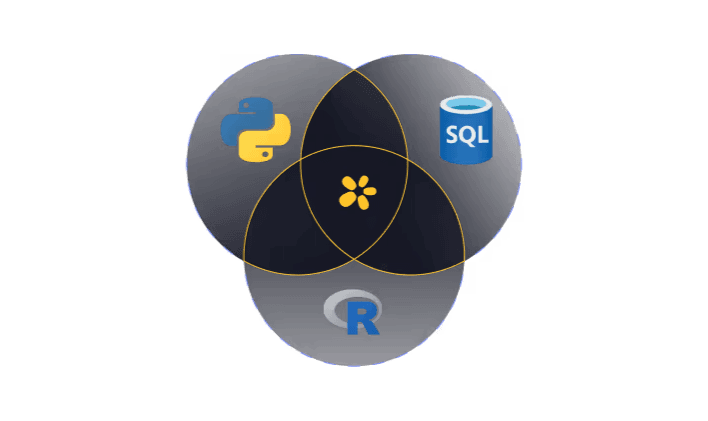 Powerful R Integration: Seamless Interoperability with Python and SQL